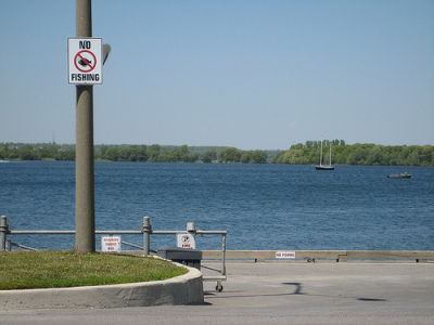 No fishing